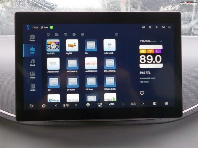 BYD Dolphin Surf