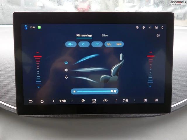 BYD Dolphin Surf