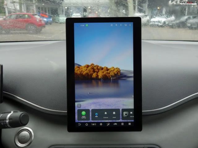 BYD Dolphin Surf