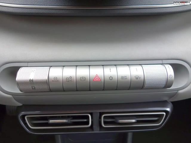 BYD Dolphin Surf