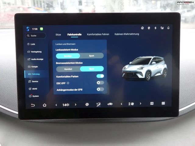 BYD Dolphin Surf