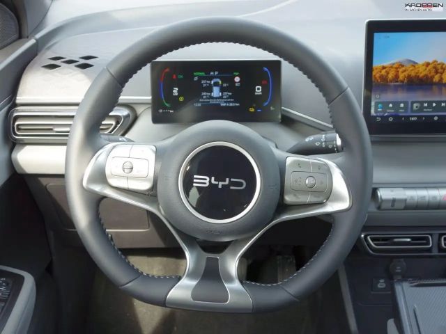 BYD Dolphin Surf