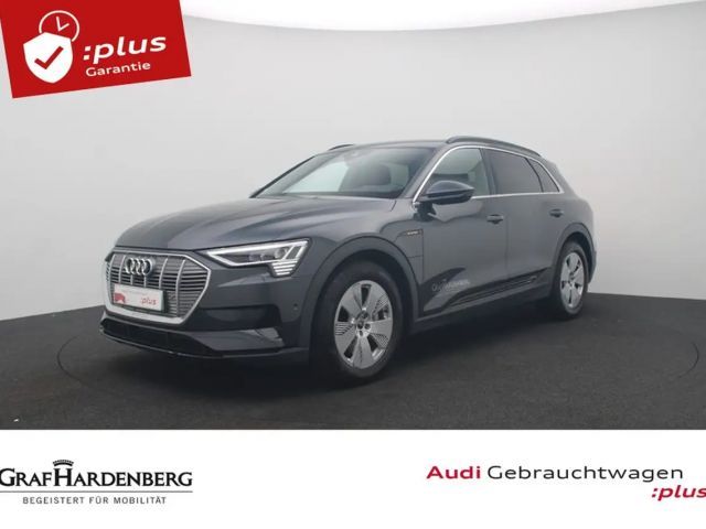 Audi e-tron 55 quattro Matrix Navi B&O 2023 Elektrisch