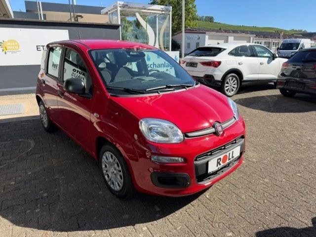 Fiat Pandina