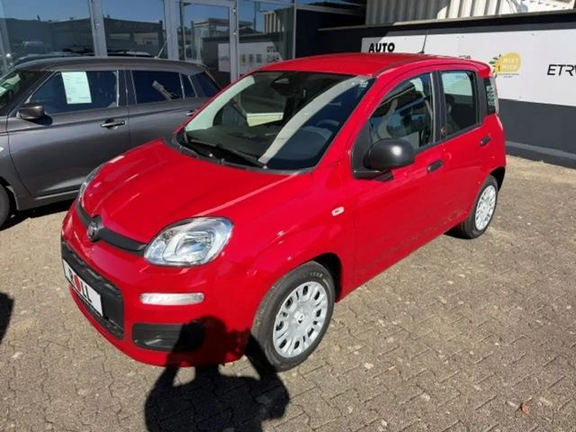Fiat Pandina