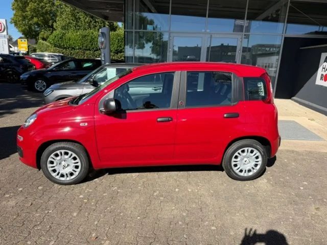 Fiat Pandina