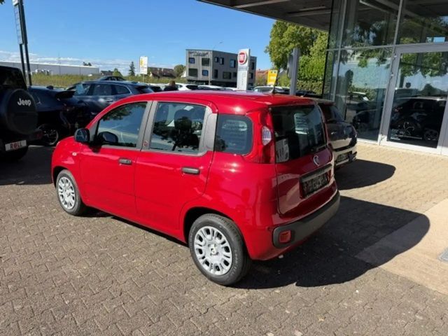Fiat Pandina