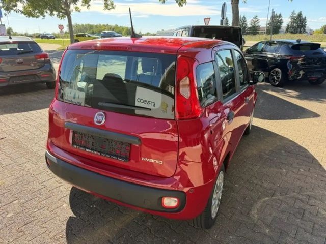 Fiat Pandina