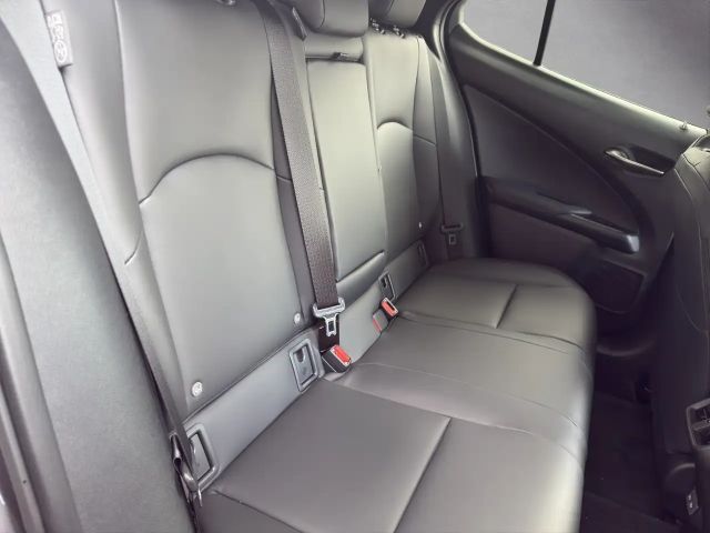 Lexus UX 250h