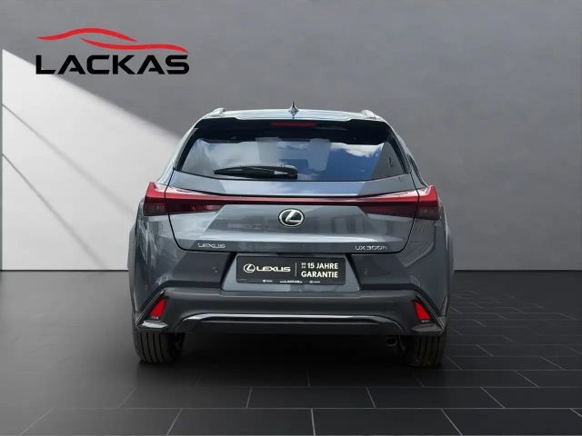 Lexus UX 250h