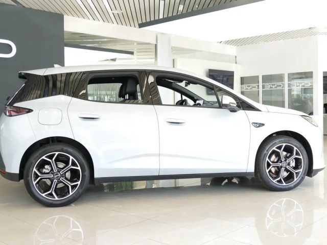 BYD Dolphin G