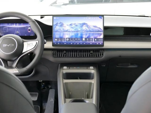BYD Dolphin G