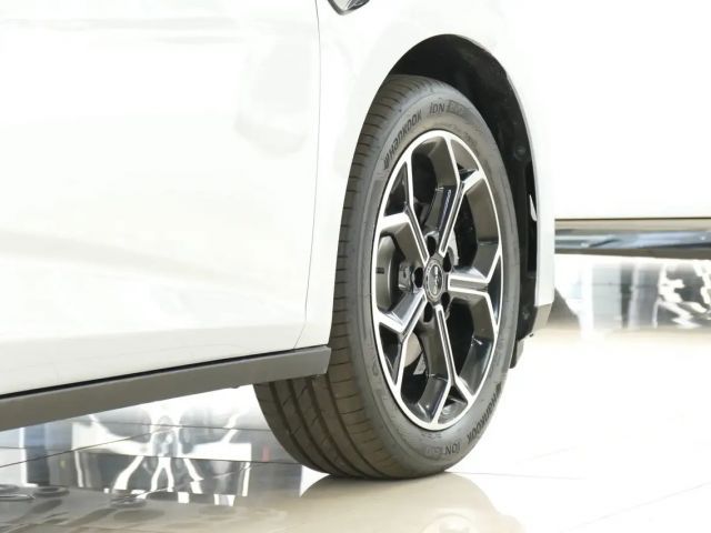 BYD Dolphin G
