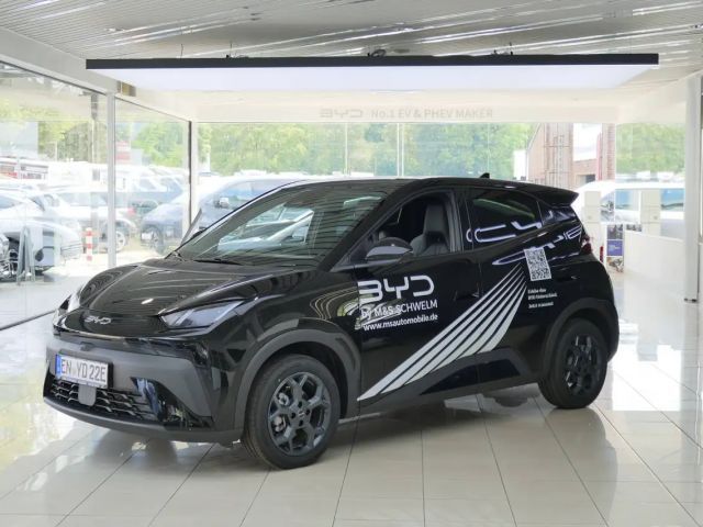 BYD Dolphin Surf