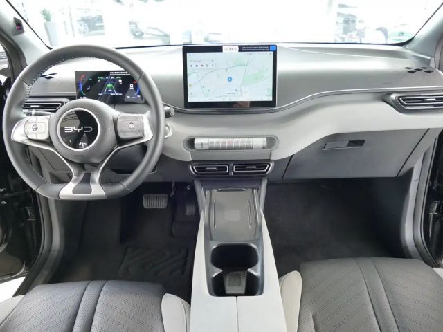 BYD Dolphin Surf