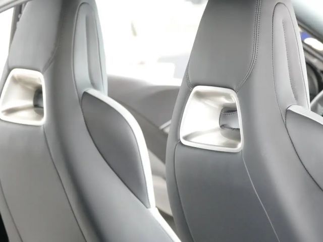 BYD Dolphin Surf