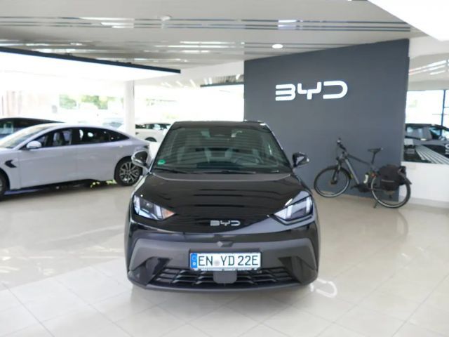 BYD Dolphin Surf