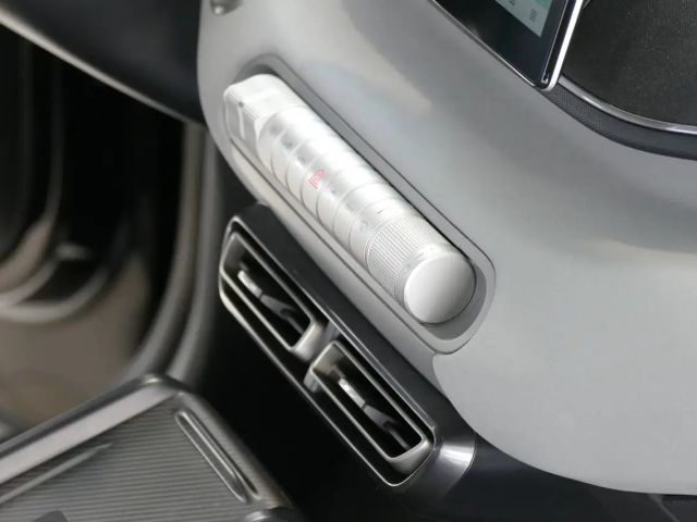 BYD Dolphin Surf