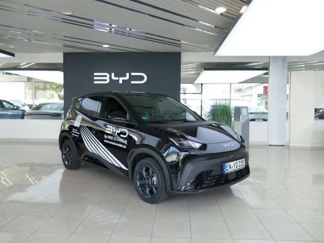 BYD Dolphin Surf