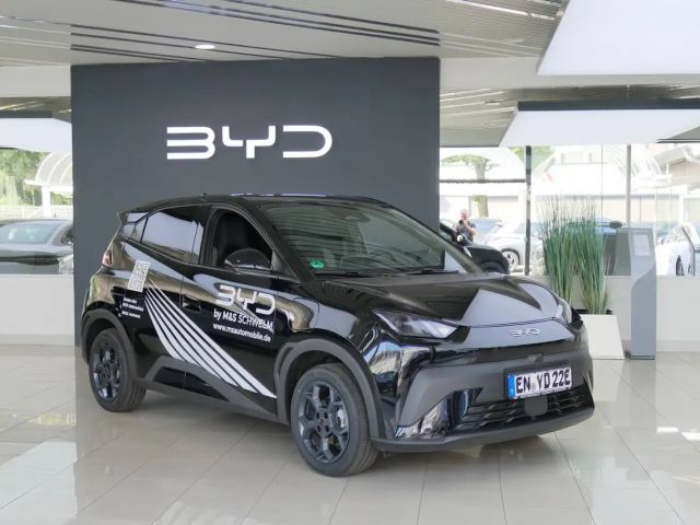 BYD Dolphin Surf