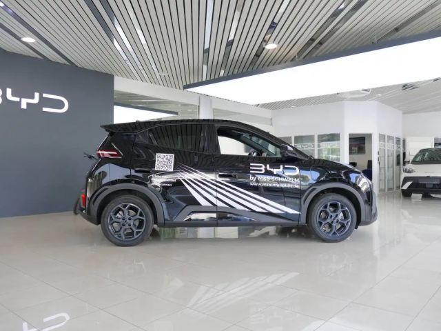 BYD Dolphin Surf