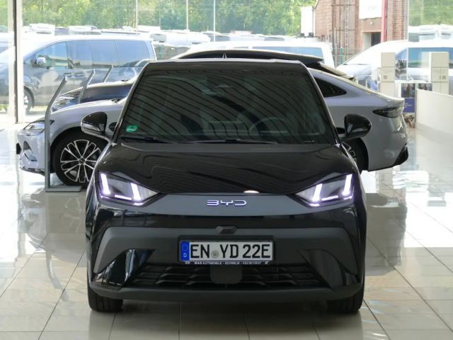 BYD Dolphin Surf