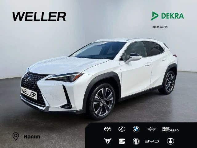 Lexus UX 250h Executive Line *LED*ACC*PDC*SHZ*RCam*DAB* 2023 Hybride / Benzine