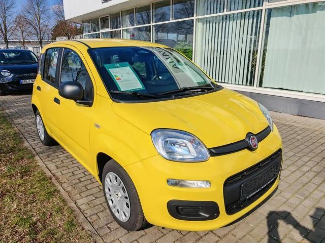Fiat Pandina