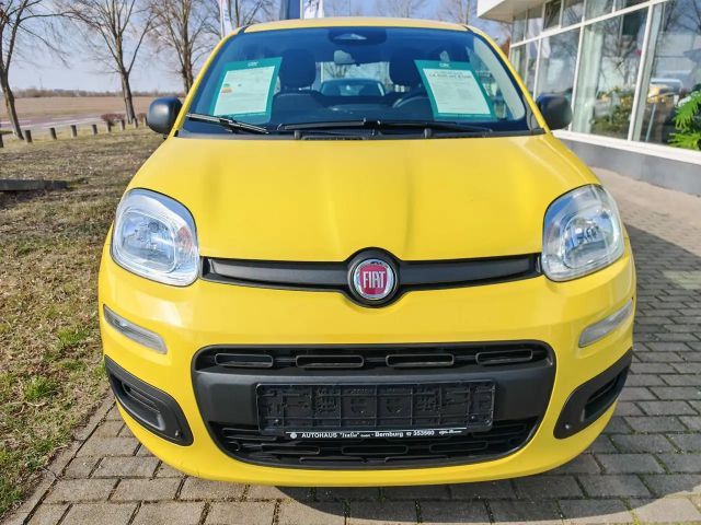 Fiat Pandina