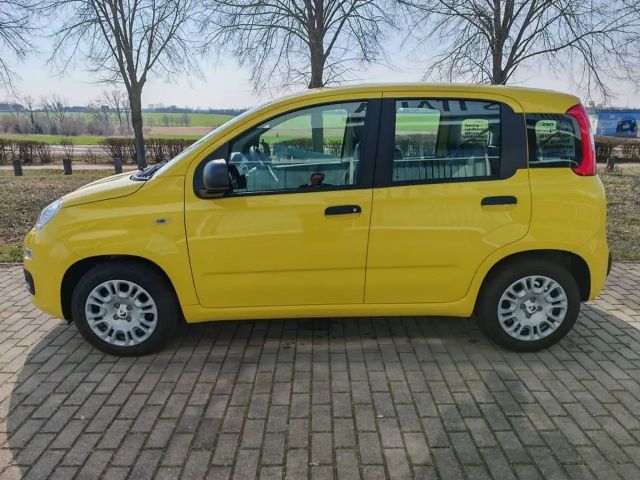 Fiat Pandina
