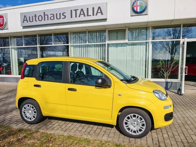 Fiat Pandina