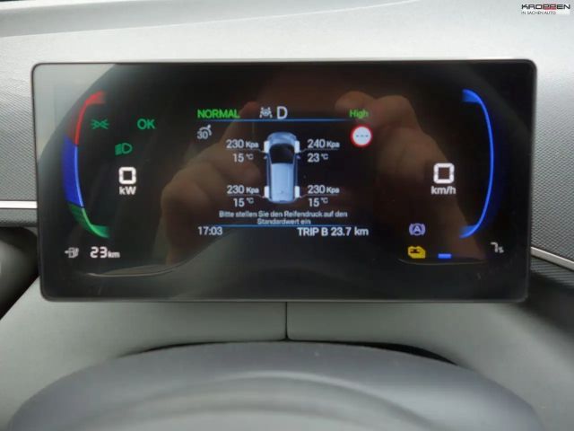 BYD Dolphin Surf