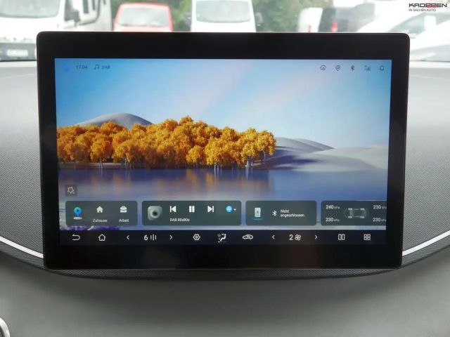 BYD Dolphin Surf