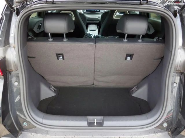 BYD Dolphin Surf