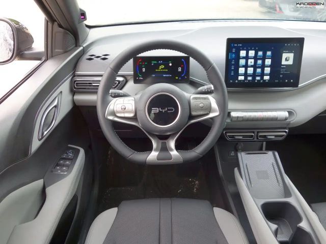 BYD Dolphin Surf