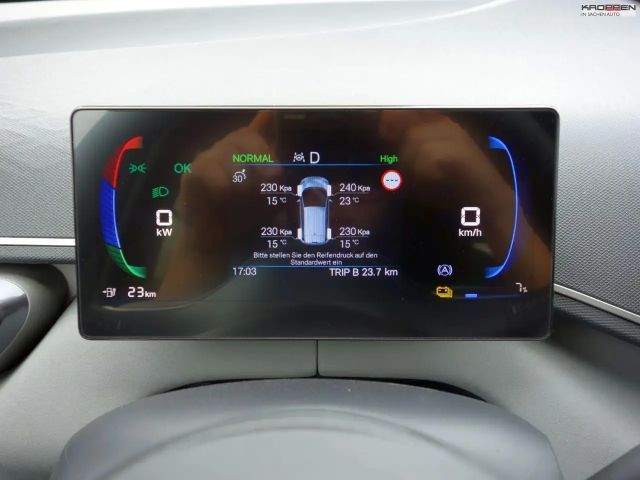 BYD Dolphin Surf