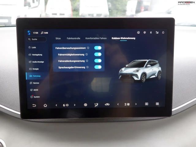 BYD Dolphin Surf