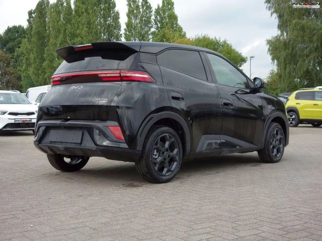 BYD Dolphin Surf