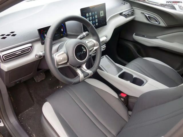 BYD Dolphin Surf