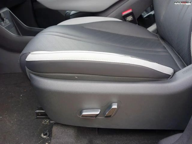 BYD Dolphin Surf
