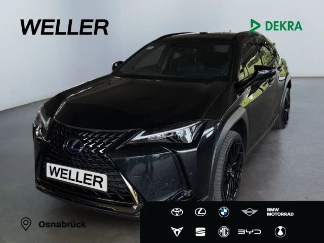 Lexus UX 250h
