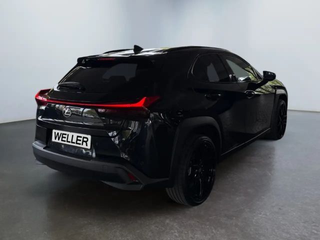 Lexus UX 250h