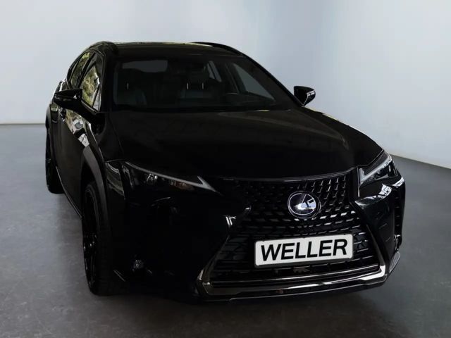 Lexus UX 250h