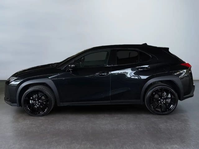 Lexus UX 250h