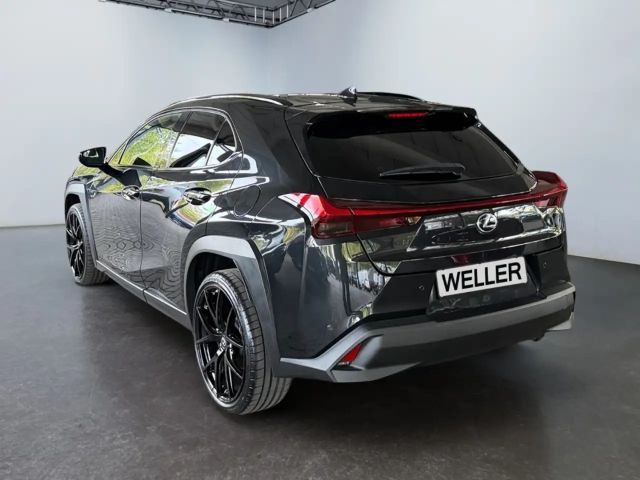 Lexus UX 250h