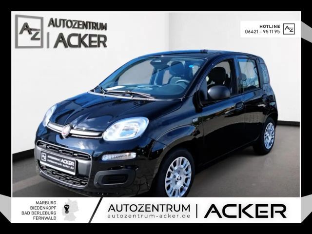 Fiat New Panda