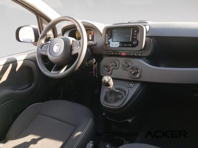 Fiat New Panda