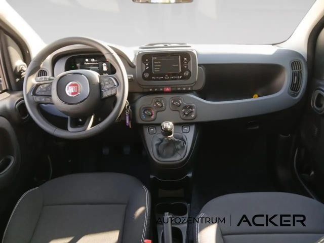 Fiat New Panda