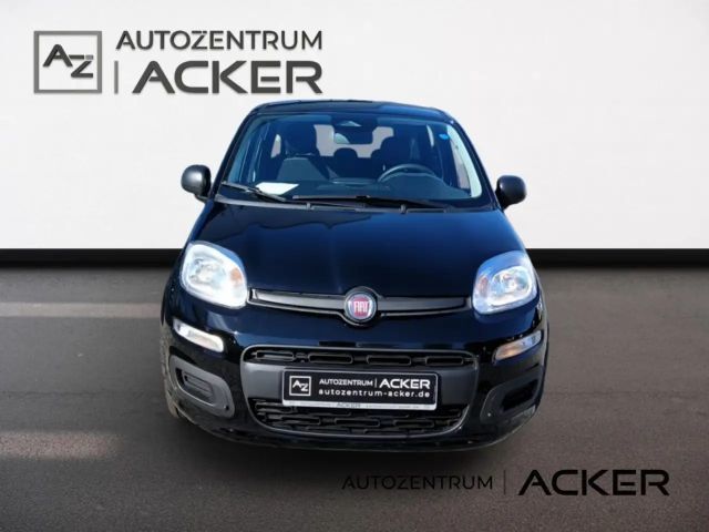 Fiat New Panda
