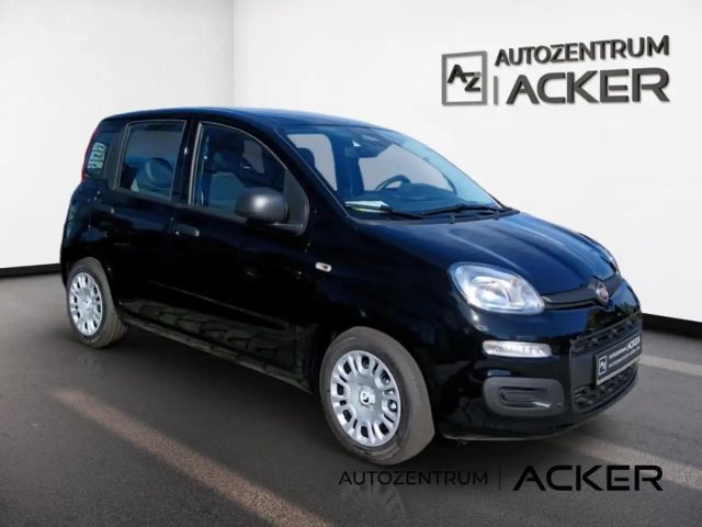 Fiat New Panda